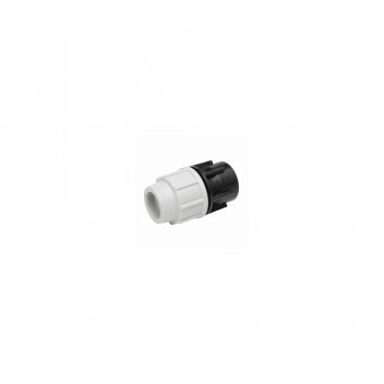 PLASSON FEMALE ADAPTOR BSP THREAD 25mm x 1\" 70302510